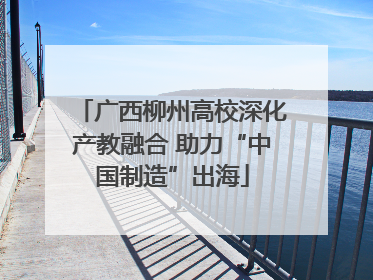 广西柳州高校深化产教融合 助力“中国制造”出海