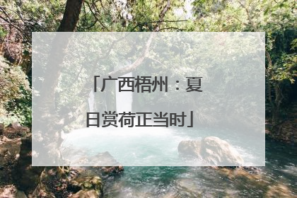 广西梧州：夏日赏荷正当时