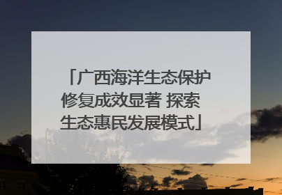 广西海洋生态保护修复成效显著 探索生态惠民发展模式