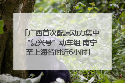 广西首次配属动力集中“复兴号”动车组 南宁至上海省时近6小时