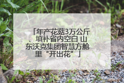 年产花菇3万公斤、填补省内空白 山东沃克集团智慧方舱里“开出花”