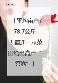 平均亩产778.7公斤！宿迁一示范田给出高产“答卷”