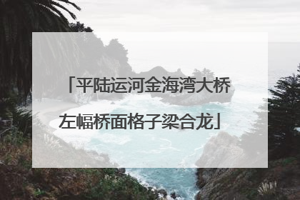 平陆运河金海湾大桥左幅桥面格子梁合龙