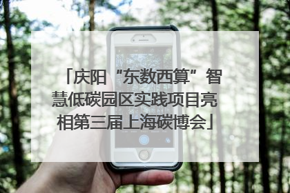庆阳“东数西算”智慧低碳园区实践项目亮相第三届上海碳博会
