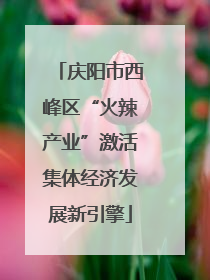 庆阳市西峰区“火辣产业”激活集体经济发展新引擎