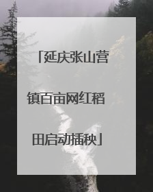 延庆张山营镇百亩网红稻田启动插秧