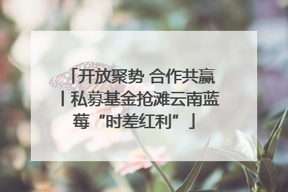 开放聚势 合作共赢丨私募基金抢滩云南蓝莓“时差红利”