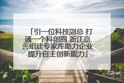 引一位科技副总 打通一个科创圈 浙江嘉善组建专家库助力企业提升自主创新能力