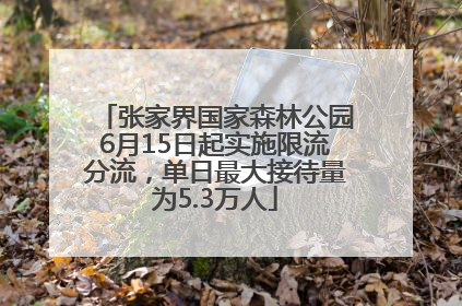 张家界国家森林公园6月15日起实施限流分流，单日最大接待量为5.3万人