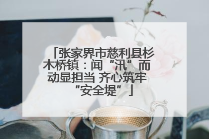 张家界市慈利县杉木桥镇：闻“汛”而动显担当 齐心筑牢“安全堤”