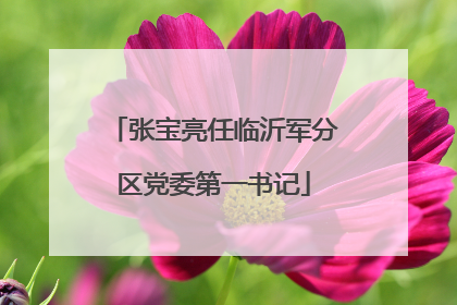 张宝亮任临沂军分区党委第一书记