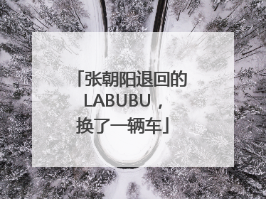 张朝阳退回的LABUBU，换了一辆车