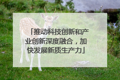 推动科技创新和产业创新深度融合，加快发展新质生产力