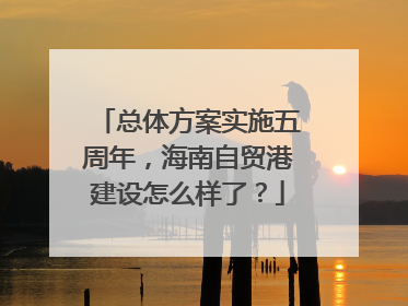总体方案实施五周年，海南自贸港建设怎么样了？