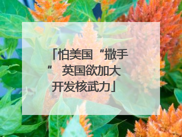 怕美国“撒手” 英国欲加大开发核武力
