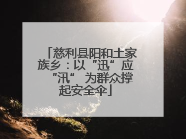慈利县阳和土家族乡：以“迅”应“汛” 为群众撑起安全伞