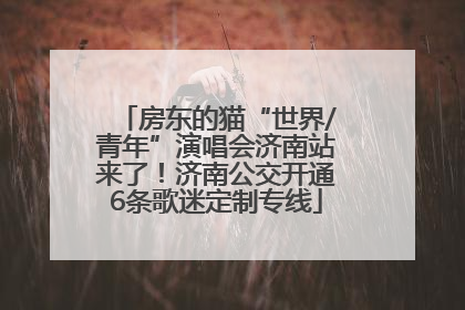 房东的猫“世界/青年”演唱会济南站来了！济南公交开通6条歌迷定制专线