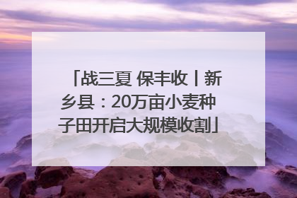 战三夏 保丰收丨新乡县：20万亩小麦种子田开启大规模收割