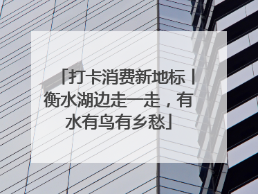 打卡消费新地标丨衡水湖边走一走，有水有鸟有乡愁