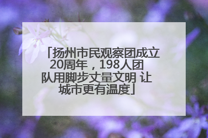 扬州市民观察团成立20周年，198人团队用脚步丈量文明 让城市更有温度
