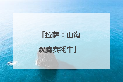 拉萨：山沟欢腾赛牦牛