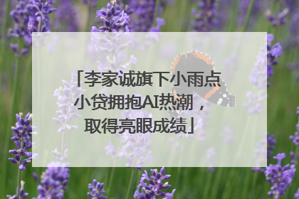 李家诚旗下小雨点小贷拥抱AI热潮，取得亮眼成绩