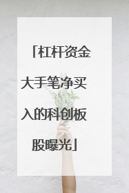 杠杆资金大手笔净买入的科创板股曝光