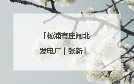 杨浦有座闸北发电厂｜张新