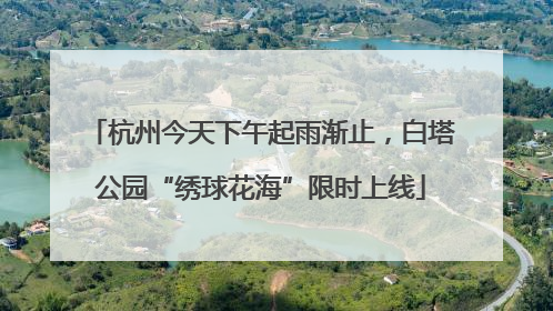 杭州今天下午起雨渐止，白塔公园“绣球花海”限时上线