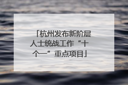 杭州发布新阶层人士统战工作“十个一”重点项目