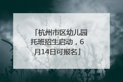 杭州市区幼儿园托班招生启动，6月14日可报名