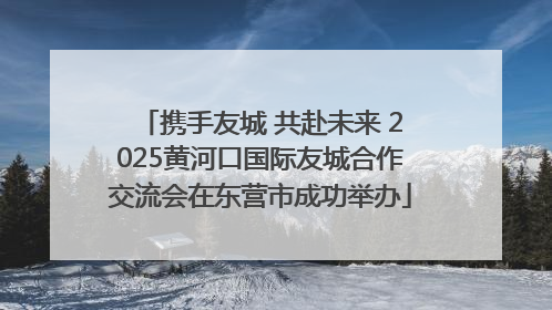 携手友城 共赴未来 2025黄河口国际友城合作交流会在东营市成功举办