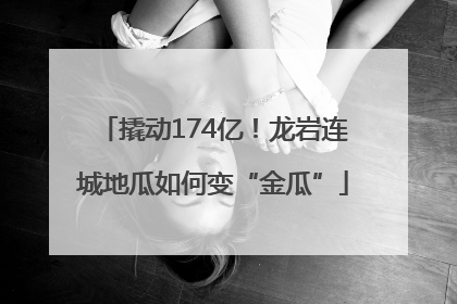 撬动174亿！龙岩连城地瓜如何变“金瓜”