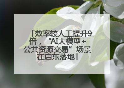 效率较人工提升9倍，“AI大模型+公共资源交易”场景在启东落地