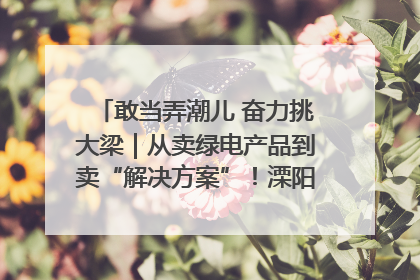 敢当弄潮儿 奋力挑大梁｜从卖绿电产品到卖“解决方案”！溧阳立足产业优势建成五大微电网示范项目