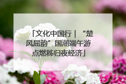 文化中国行｜“楚风屈韵”国潮端午游点燃秭归夜经济