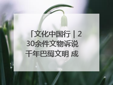 文化中国行｜230余件文物诉说千年巴蜀文明 成渝地区基建考古成果展开展