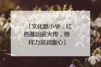 文化路小学：红色基因薪火传，榜样力量润童心