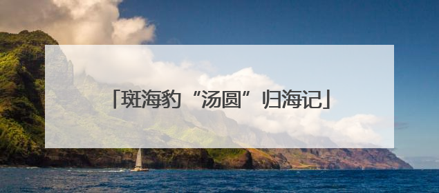 斑海豹“汤圆”归海记