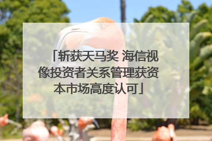 斩获天马奖 海信视像投资者关系管理获资本市场高度认可