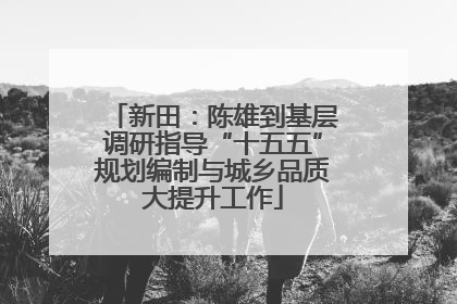 新田：陈雄到基层调研指导“十五五”规划编制与城乡品质大提升工作