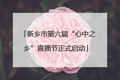 新乡市第六届“心中之乡”直播节正式启动