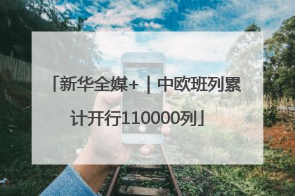 新华全媒+｜中欧班列累计开行110000列