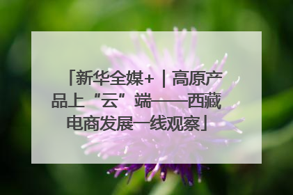 新华全媒+｜高原产品上“云”端——西藏电商发展一线观察