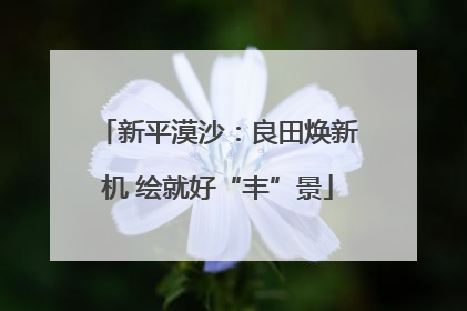 新平漠沙：良田焕新机 绘就好“丰”景