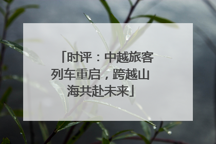 时评：中越旅客列车重启，跨越山海共赴未来