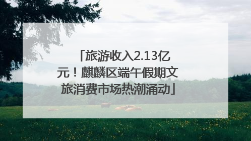 旅游收入2.13亿元！麒麟区端午假期文旅消费市场热潮涌动