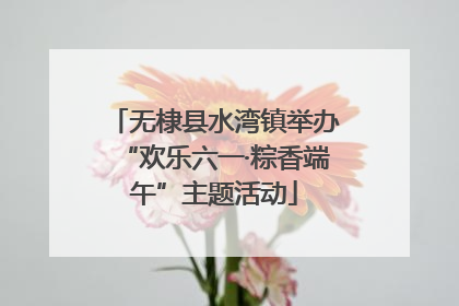无棣县水湾镇举办“欢乐六一·粽香端午”主题活动