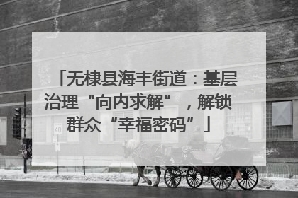 无棣县海丰街道：基层治理“向内求解”，解锁群众“幸福密码”