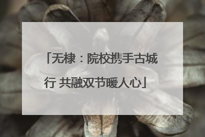 无棣：院校携手古城行 共融双节暖人心